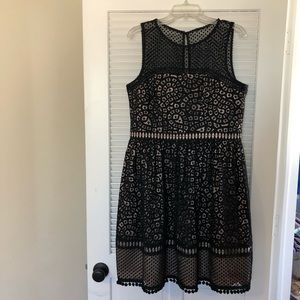 Eliza J Black Sleeveless Dress